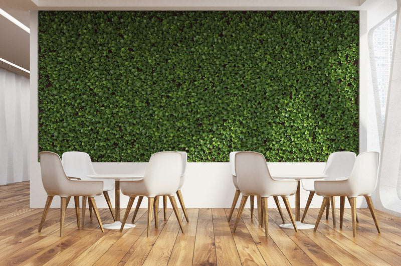 grass wallpaper for walls