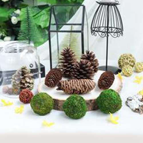 http://tableclothsfactory.com/cdn/shop/collections/Tabletop_Accessories__04.jpg?v=1615495402&width=1200