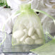 10 Pack | 3inch Mint Organza Drawstring Wedding Party Favor Gift Bags