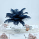 12 Pack | 13-15inch Navy Blue Natural Plume Real Ostrich Feathers, DIY Centerpiece Fillers