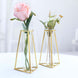 2 Pack | 6inch Triangular Gold Metal Frame Test Tube Bud Vases, Mini Geometric Wedding Centerpieces