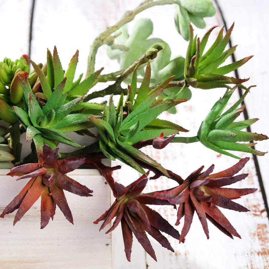 3 Pack | 13inches Assorted Artificial Yucca Aloe Vera Succulent Air Plants