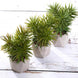 3 Pack | 8inches Ceramic Planter Pot & Artificial Crassula Succulent Plants