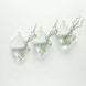 3 Pack | Rhombus Glass Wall Vase | Indoor Wall Mounted Planters | Hanging Terrariums