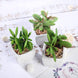 3 Pack | 3inches Ceramic Planter Pot & Artificial Mini Jade Succulent Plant