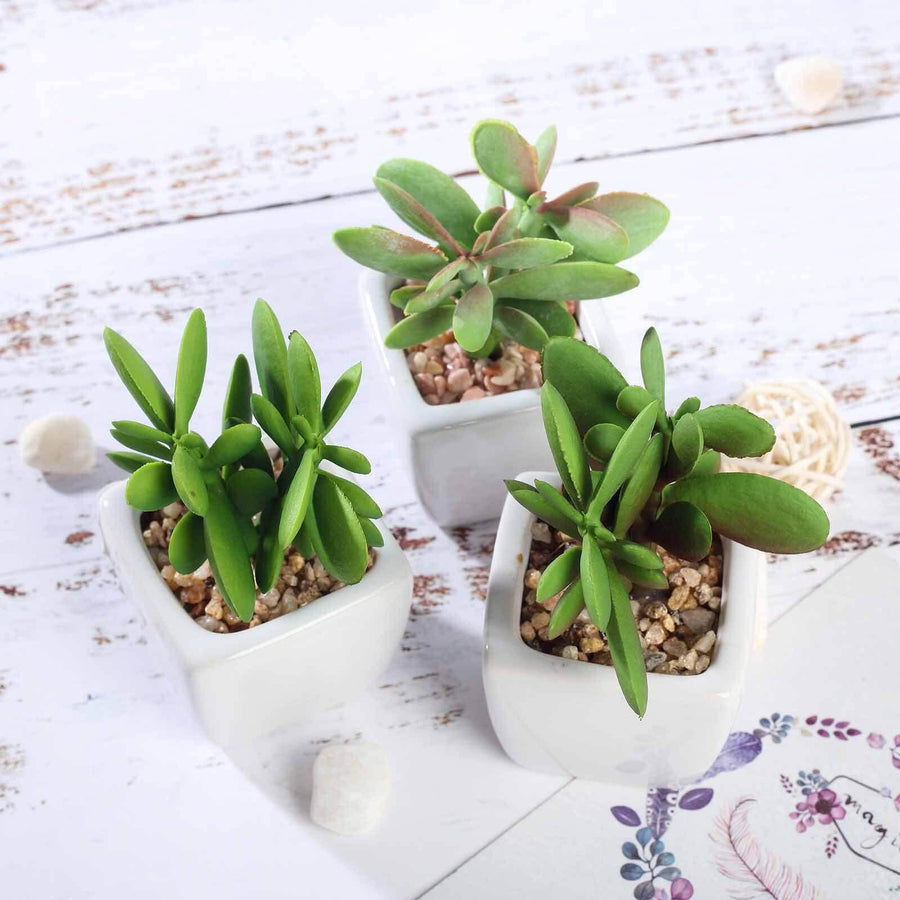 3 Pack | 3inches Ceramic Planter Pot & Artificial Mini Jade Succulent Plant