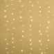 30FT | 100 LED Warm White Sequential String Lights