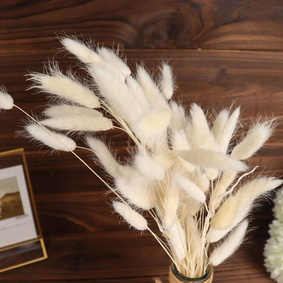50 Pack | 15inch Natural White Rabbit Tail Dried Pampas Grass Stem Bouquets