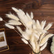 50 Pack | 15inch Natural White Rabbit Tail Dried Pampas Grass Stem Bouquets