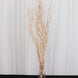 6 Pack Metallic Gold Extra Long Willow Tree Branches