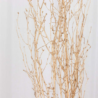 <strong>Metallic Gold Natural Dried Willow Twigs</strong> <strong>Metallic Gold Natural Dried Willow Twigs</strong>