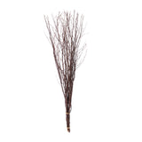 6 Pack Natural Extra Long Willow Tree Branches#whtbkgd