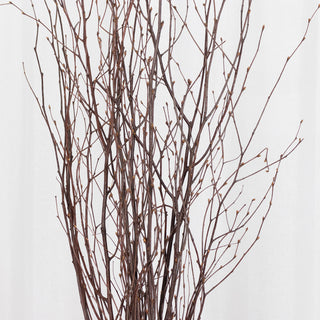 <strong>Versatile Natural Dried Willow Twigs</strong>