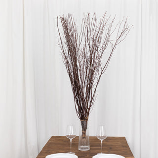 <strong>Whimsical Natural Decorative Birch Tree Branches</strong>