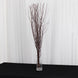 6 Pack Natural Extra Long Willow Tree Branches
