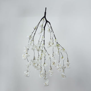 White cherry blossom branch arrangement on a minimal gray background