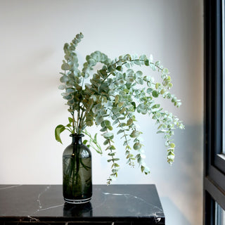 Versatile and Stylish Eucalyptus Decor for Any Occasion Versatile and Stylish Eucalyptus Decor for Any Occasion