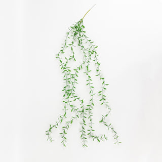 Lush Backdrop Enhancement with Natural Flow and Texture Lush Backdrop Enhancement with Natural Flow and Texture