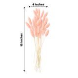 50 Pack | 15inch Blush Rose Gold Rabbit Tail Dried Pampas Grass Stem Bouquets