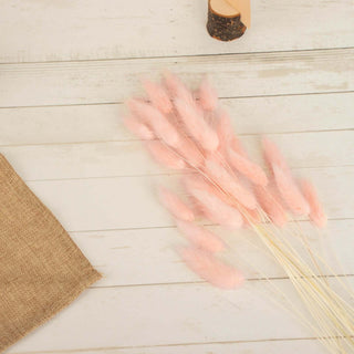 Create Stunning Displays with Blush Boho Rabbit Tail Flower Arrangement Sprays Create Stunning Displays with Blush Boho Rabbit Tail Flower Arrangement Sprays