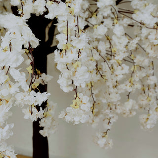 Artificial cherry blossom tree with white flowers and dark branches. #whtbkgd