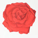 10 Pack Red Rose Flower Disposable Table Mats, 14inch Floral Cardboard Paper Placemats#whtbkgd