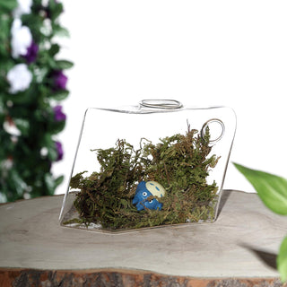 Multipurpose Indoor Wall Mounted Planters Multipurpose Indoor Wall Mounted Planters