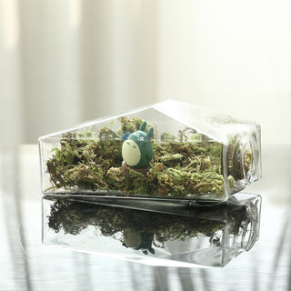 Hanging Terrariums - Bring Nature Indoors Hanging Terrariums - Bring Nature Indoors