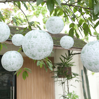 Decorative paper lanterns hanging from a tree outdoors.