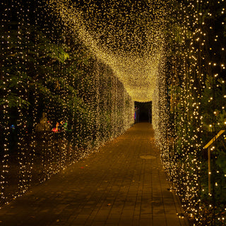 Expand Your Vision: Seamless Connectivity for Larger Displays Expand Your Vision: Seamless Connectivity for Larger Displays