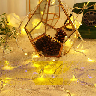 Versatile and Reusable LED Lights for Any Occasion Versatile and Reusable LED Lights for Any Occasion