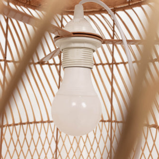 <span>Versatile and Convenient Plug-in Light Socket</span> <span>Versatile and Convenient Plug-in Light Socket</span>