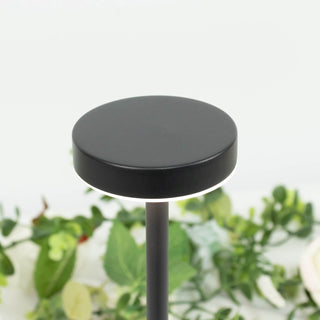 Modern black LED garden pathway light with round top and slim post