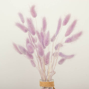 50 Pack 15" Lavender Lilac Rabbit Tail Dried Pampas Grass Stem Bouquets, Boho Flower Arrangement Sprays