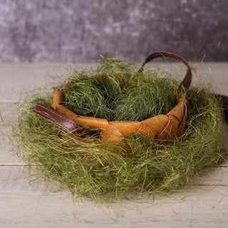 Unleash Your Creativity with Green Preserved Natural Moss Grass