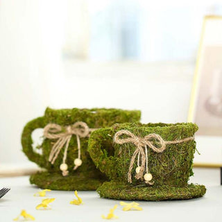 Create an Enchanting Atmosphere with Green Teacup Preserved Moss Create an Enchanting Atmosphere with Green Teacup Preserved Moss