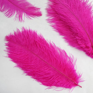 Unleash Your Creativity with Natural Plume Feathers