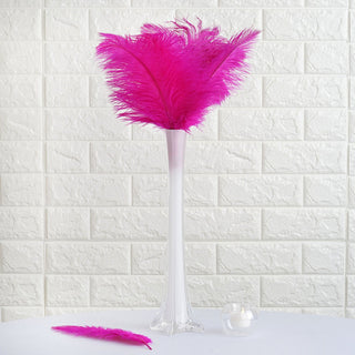 Add Vibrant Charm to Your Décor with Fuchsia Ostrich Feathers