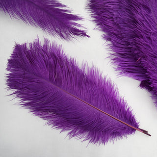 Make a Statement with Purple Natural Plume Real Ostrich Feathers