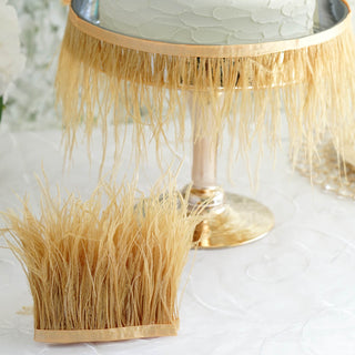 Unleash Your Creativity with Gold Ostrich Feather Fringe Trim