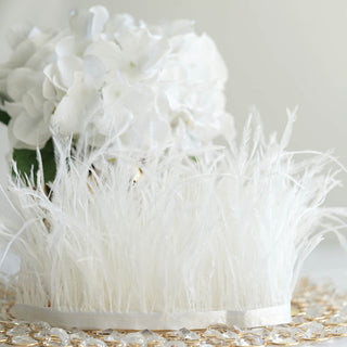 Create a Dreamy Atmosphere with White Ostrich Feather Fringe Trim Create a Dreamy Atmosphere with White Ostrich Feather Fringe Trim