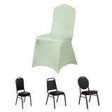 Sage Green Spandex Stretch Fitted Banquet Chair Cover - 160 GSM