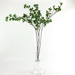 Tall glass vase with green branches against a plain background
