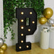 Giant LED Marquee Light Up Letter P, Black 4ft Pre-Cut Foam Board with 10 Warm White