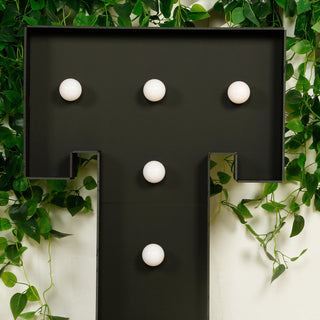 Décor Ideas & Styling Décor Ideas & Styling