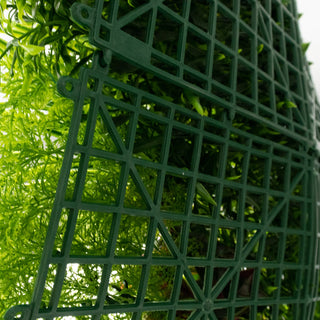 Green plant display with grid support structure on a plain background.