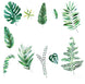 Green Tropical Assorted Leaves Wall Decals, Plant Peel Removable Stickers