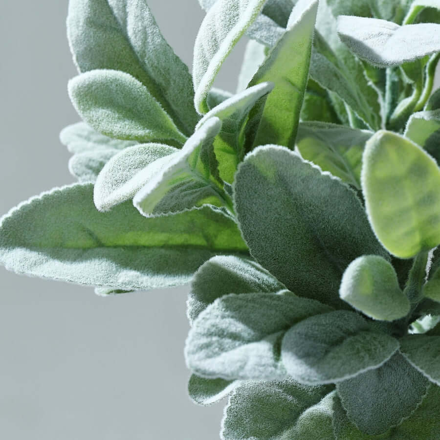 rabbit's ear plant indoor 4 Pack 12" Frosted Green Artificial Lamb’s Ear Leaf Stems, Indoor Faux Plant Decor