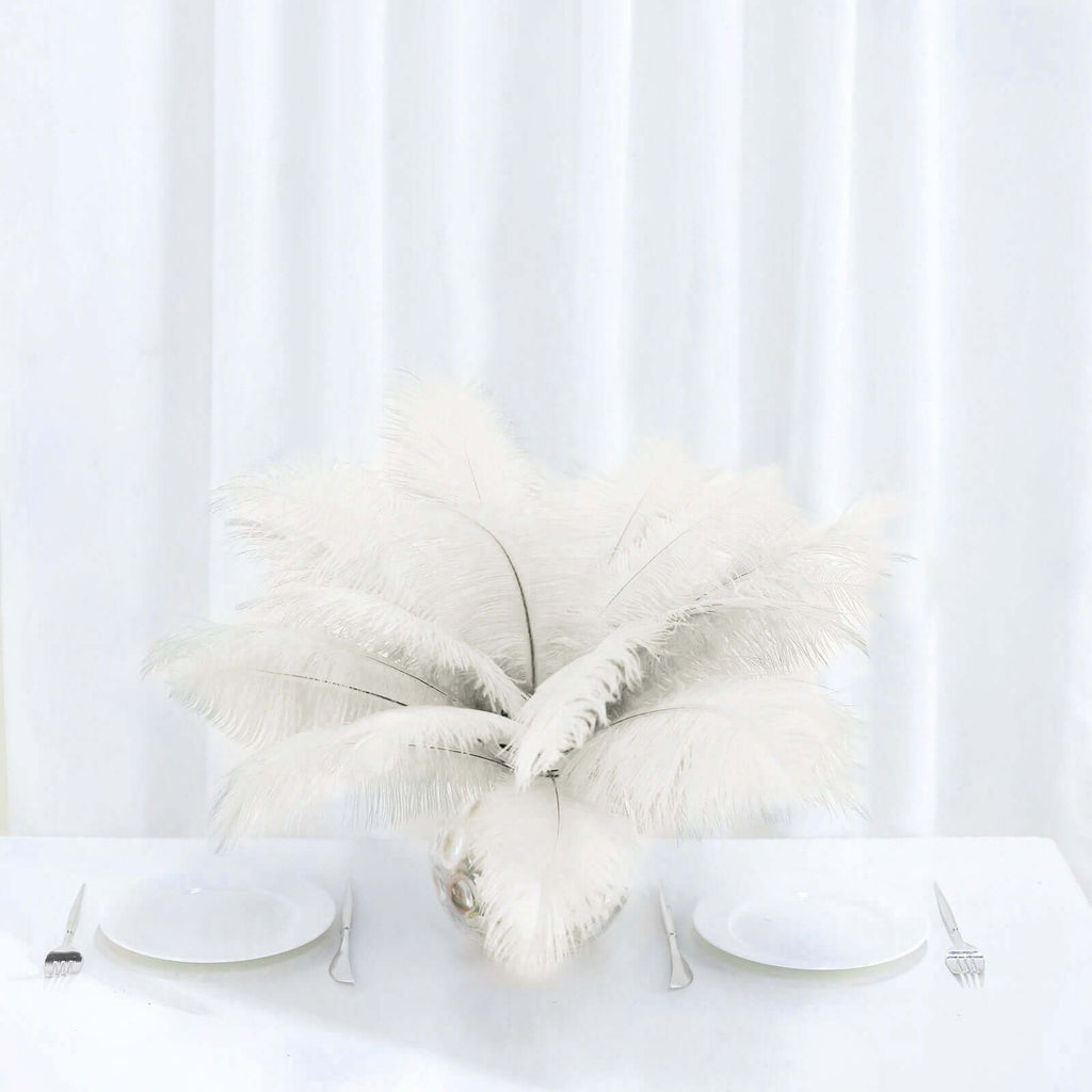 Ivory Ostrich Feathers 12 Pack 13-15\, image size:1024x1024