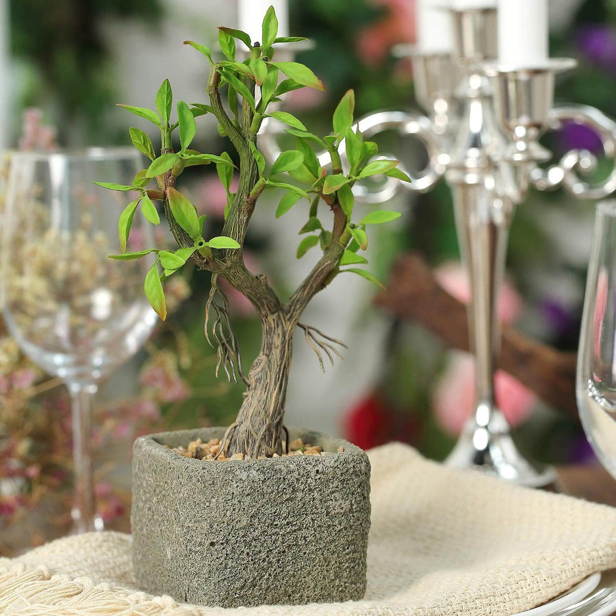 9inches Concrete Planter Pot & Artificial Willow Tree Succulent Plant